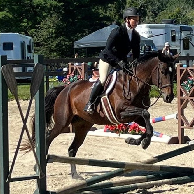 bay horse with student jumping at a horse show 