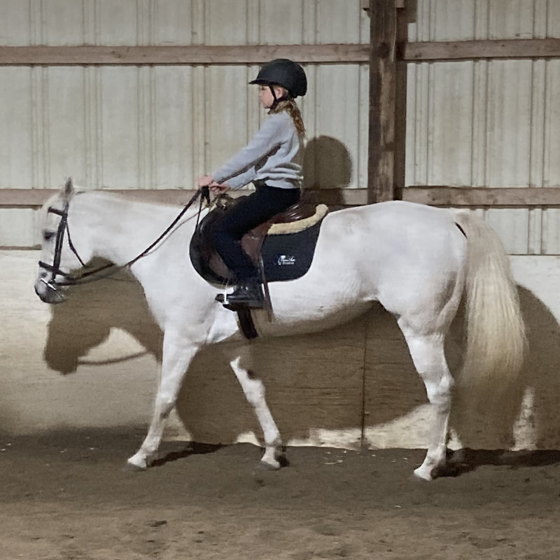 gray horse and rider trotting in an outdoor riding ringing