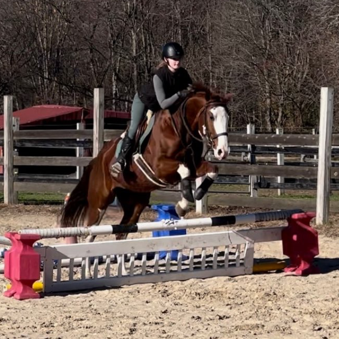 student and her horse  jumping a fence in a lesson